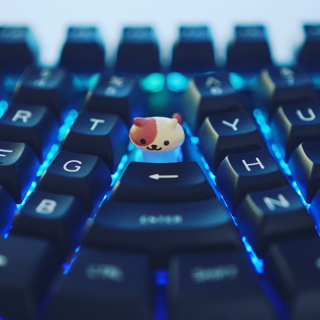 X-Bows® Keyboards - X-Bows Store